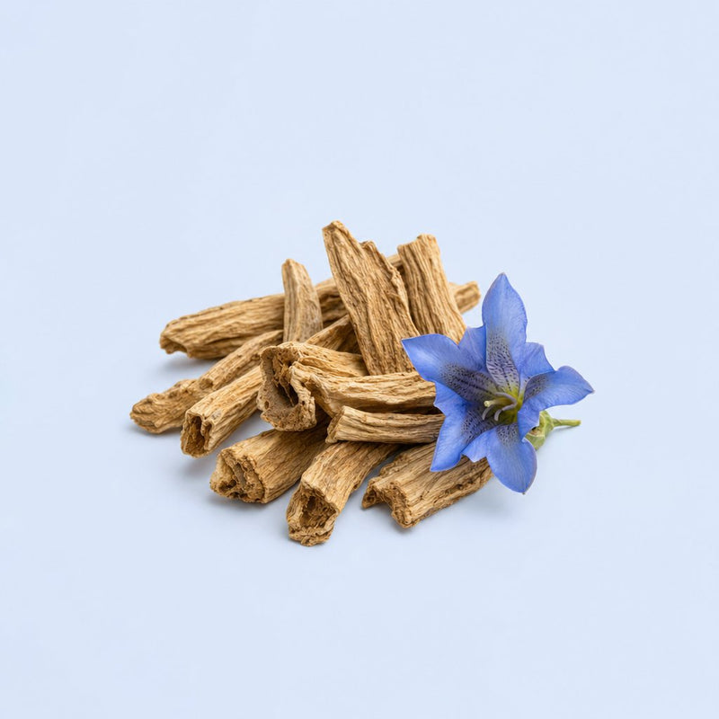 Gentian root